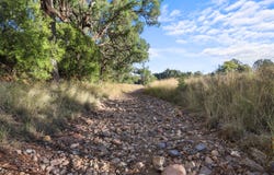 8 Currabubula Stock Route Road, Currabubula, NSW 2342