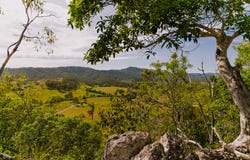 298 Cainbable Creek Road, Cainbable, Qld 4285