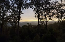 Owens Trail, Gloucester, NSW 2422