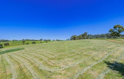101 Alawoona Circle, Bullsbrook, WA 6084