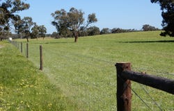 3692 Riddoch Highway, Willalooka, SA 5267