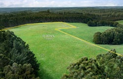 60 Harveys Track, Beech Forest, Vic 3237