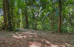 Lot 2, 2046 Mount Glorious Road, Mount Glorious, Qld 4520