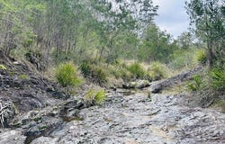 208 Blomfield Road, Yarrowitch, NSW 2354