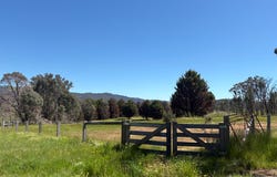 950 Yarck Rd, Yarck, Vic 3719