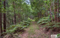 895 Limpinwood Road, Limpinwood, NSW 2484