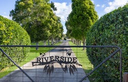 59 Springfields Drive, Greenhill, NSW 2440