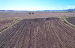 Forest Plain Road, Allora, Qld 4362