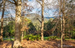 49 Donna Buang Road, Warburton, Vic 3799