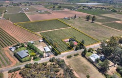 Lot 265 Kulkyne Street, Renmark, SA 5341