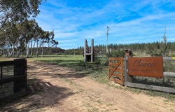 2988 Mayfield Road, Tarago, NSW 2580