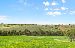 Lot 437 Tullich Street, Bulla, Vic 3428