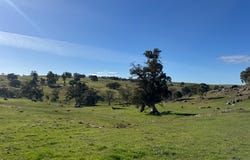 Lot 1, Brinkworth Range Road, Tungkillo, SA 5236