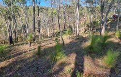Lot 500, 159 Clohesy River Road, Koah, Qld 4881