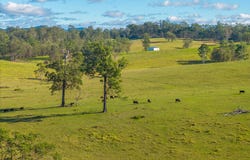 1995 Armidale Road, Willawarrin, NSW 2440