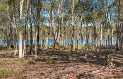 3 Pauciflora Drive, London Lakes, Tas 7140