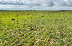 942 Baumgurtel Road, Wynarka, SA 5306