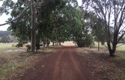 PL 805 Scotts Brook Road, Scotts Brook, WA 6244