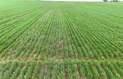 CA 21 Hopetoun/Walpeup Road, Walpeup, Vic 3507