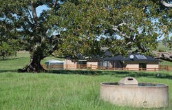 49 Hicks Road, Spring Grove, NSW 2470