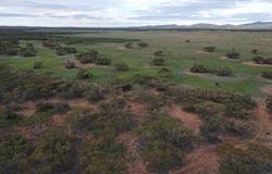 Pine Creek Road, Parnaroo, SA 5422