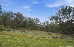 209 Haney Road, Lachlan, Tas 7140