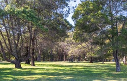 26 Hebrides Close, Quindalup, WA 6281