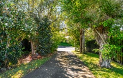 4 Hibiscus Place, Mullumbimby, NSW 2482