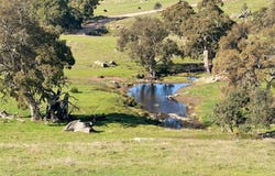 Lot 1, Brinkworth Range Road, Tungkillo, SA 5236