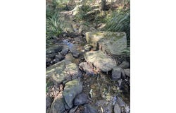 Ocean View, Qld 4521