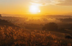 Lot 101, 1721 Mount View Road, Millfield, NSW 2325