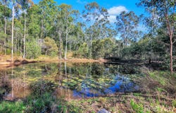 63 Hamanns Road, Apple Tree Creek, Qld 4660