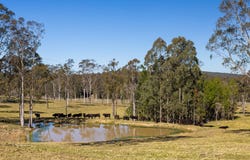 165 Myall Way, Tea Gardens, NSW 2324