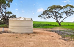 'Shepherds' Thomas Plains Road, Thrington, SA 5552