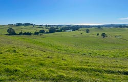 1373 Mount Hicks Road, Mount Hicks, Tas 7325