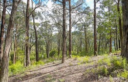 22 Yarra Valley Crescent, East Warburton, Vic 3799