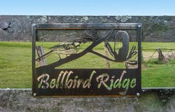 1554 Duck Creek Road, Kerry, Qld 4285