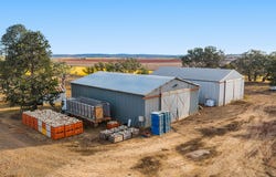 Hillside Road, Allora, Qld 4362