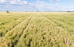 814 Murrays Road, Moree, NSW 2400