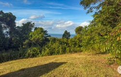 41 Coquette Point Road, Coquette Point, Qld 4860