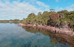 Lot 1 & 2, Badger Corner Road, Lady Barron, Tas 7255