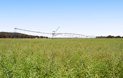 1635 Clifton Leyburn Road, Ellangowan, Qld 4361