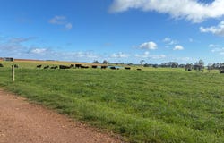 Lot 1 Upper Natone Road, Natone, Tas 7321