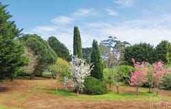 22 Dysart Street, Glenlyon, Vic 3461