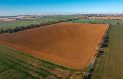 3685 Olympic Highway, Junee, NSW 2663