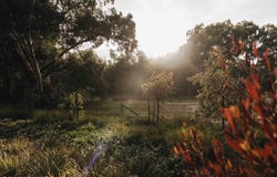 Lot 1579, Ruby Way, Henley Brook, WA 6055