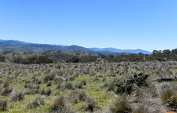 "Muriel's Paddock" Gullies Road, Moonbah, NSW 2627