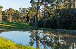 420 Bradys Plain Road, Parkham, Tas 7304