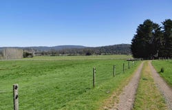 38791 Tasman Highway, Nunamara, Tas 7259