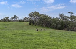 430 Woodlands Road, Barossa Goldfields, SA 5351